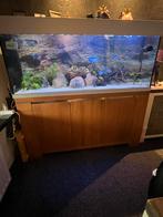 Aquarium 160, Ophalen of Verzenden