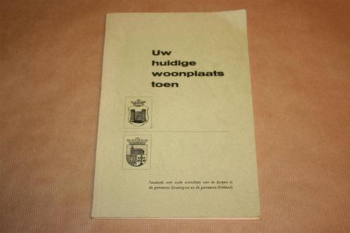 Uw huidige woonplaats toen - Grootegast en Oldekerk, Boeken, Geschiedenis | Stad en Regio, Gelezen, 20e eeuw of later, Ophalen of Verzenden