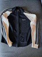 Dolce&Gabbana vest, Ophalen of Verzenden, Gedragen, Maat 38/40 (M)