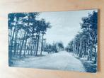 Ansichtkaart Den Dolder, Verzamelen, Ansichtkaarten | Nederland, Ophalen of Verzenden, Noord-Holland
