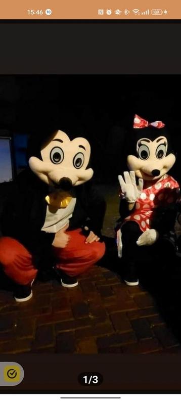 Mickey en Minnie mascotte pakken te huur  beschikbaar voor biedingen