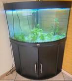 Aquarium JUWEL TRIGON is fully equipped, Dieren en Toebehoren, Vissen | Aquaria en Toebehoren, Ophalen, Gebruikt, Leeg aquarium