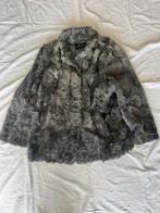 Echte bondjas, Kleding | Dames, Jassen | Winter, Ophalen of Verzenden, Zo goed als nieuw, Maat 38/40 (M)