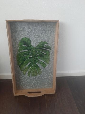 Dienblad met  een Monsterablad erop, zgan beschikbaar voor biedingen