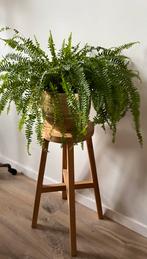 Hoge kruk / planten’tafeltje’, 1 kruk, Ophalen, 60 tot 90 cm