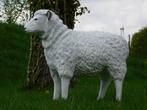 Beeld Schaap - 80 cm - Polystone, Ophalen of Verzenden, Kunststof, Dierenbeeld