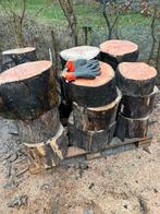 Kachel hout eik /beuk stamhout, Tuin en Terras, Haardhout, 6 m³ of meer, Ophalen, Eikenhout