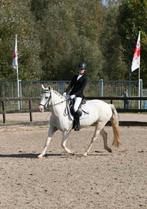 Verzorg/bijrijd pony gezocht!, Ophalen of Verzenden