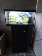 Mooi Eheim aquarium + kast, Dieren en Toebehoren, Vissen | Aquaria en Toebehoren, Ophalen, Zo goed als nieuw, Leeg aquarium