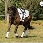 Voltigesingel master, singel, onderlegger, hoes voor pad,, Ophalen, Zo goed als nieuw