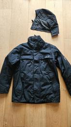 Jack Wolfskin winterjas maat S, Kleding | Dames, Jassen | Winter, Ophalen, Zwart, Jack Wolfskin, Maat 36 (S)