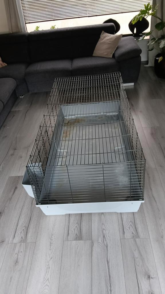 Cavia hok 1.60 breed, Dieren en Toebehoren, Knaagdieren en Konijnen | Hokken en Kooien, Gebruikt, Hok, Minder dan 60 cm, 110 cm of meer