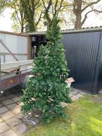 Kerstboom., Tuin en Terras, Planten | Bomen, Ophalen, Volle zon, Overige soorten