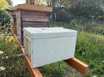 Bijenvolk in zesramer op 100% natuurbouw!, Dieren en Toebehoren, Insecten en Spinnen, Bijen