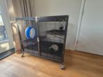 Rattenhok, Ophalen, Zo goed als nieuw, Kooi, 90 cm of meer
