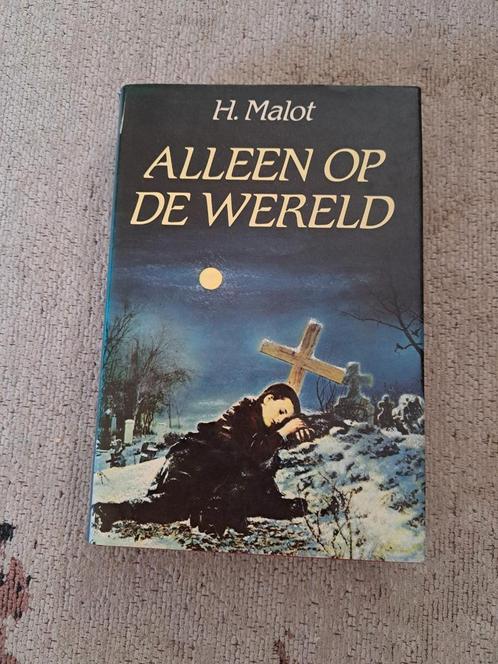 Alleen op de wereld, Boeken, Historische romans, Gelezen, Ophalen of Verzenden
