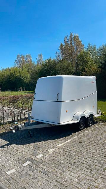 Rebel gesloten aanhanger met laadklep beschikbaar voor biedingen