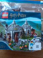 LEGO Harry Potter Hagrids huisje. Nr 75947 compleet., Verzamelen, Harry Potter, Ophalen of Verzenden, Zo goed als nieuw