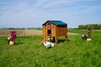 Trespa Kippenhok / Duplex 2XL - Cucciolotta, Ophalen of Verzenden, Nieuw, Kippenhok of Kippenren