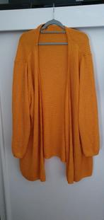 Shoked mooi vest mt m, Verzenden, Nieuw, Maat 38/40 (M)