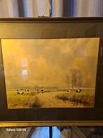 aquarel, Ophalen of Verzenden