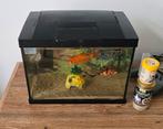 Aquarium met vissen en accessoires – €25, Dieren en Toebehoren, Vissen | Aquaria en Toebehoren, Ophalen of Verzenden, Zo goed als nieuw