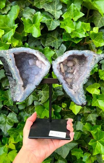 Druzy chalcedoon vlinder met calciet naald beschikbaar voor biedingen