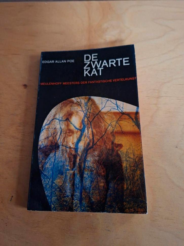 De Zwarte Kat - Edgar Allan Poe, Boeken, Thrillers, Gelezen, Nederland, Ophalen of Verzenden