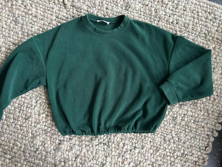 CHIQUELLE groene trui in maat M van fluweel materiaal, Kleding | Dames, Truien en Vesten, Zo goed als nieuw, Maat 38/40 (M), Groen