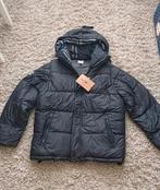 Burberry Puffer Jas/Bodywarmer - Nieuw - Maat L, Maat 52/54 (L), Zwart, Nieuw, Ophalen of Verzenden