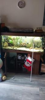 Aquarium compleet, Dieren en Toebehoren, Vissen | Aquaria en Toebehoren, Ophalen, Zo goed als nieuw, Gevuld zoetwateraquarium