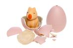 PARTIJ GROWING EGG CAPYBARA, ., Nieuw, Ophalen of Verzenden, .