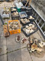 Vijver tuin stenen gratis ophalen, Tuin en Terras, Ophalen of Verzenden