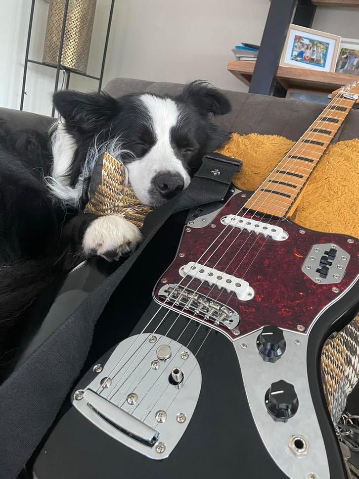 Fender Vintera II Jaguar - Zo goed als nieuw!, Muziek en Instrumenten, Snaarinstrumenten | Gitaren | Elektrisch, Zo goed als nieuw