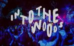 Into the woods vrijdag ticket, Tickets en Kaartjes, Evenementen en Festivals, Eén persoon
