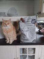 Dog lover gold honden voer, Dieren en Toebehoren, Dierenvoeding, Ophalen of Verzenden, Hond