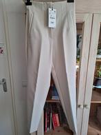Nieuw met prijskaartje eraan Pantalon ZARA - maat S, Ophalen of Verzenden, Nieuw, Maat 36 (S), Overige kleuren
