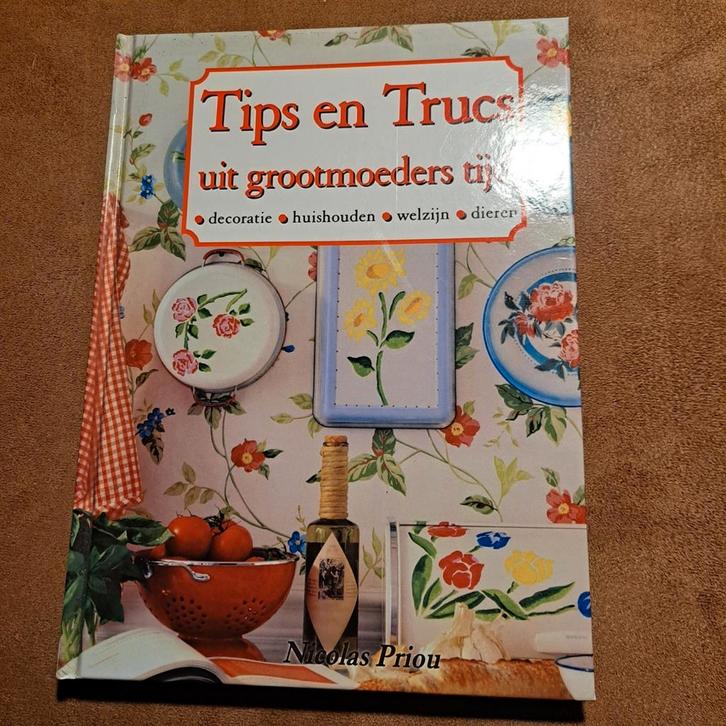 N. Priou - Tips en trucs uit grootmoeders tijd, Boeken, Encyclopedieën, Zo goed als nieuw, Ophalen of Verzenden