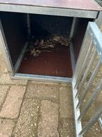 Hondenbenche, Ophalen