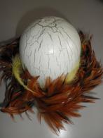 Struisvogel Ei, Ophalen of Verzenden