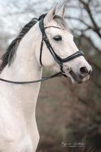 Equibridle anatomisch hoofdstel Jameson – zwart lak, Dieren en Toebehoren, Paarden en Pony's | Hoofdstellen en Tuigage, Ophalen of Verzenden