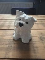 Beeld van hond, Ophalen
