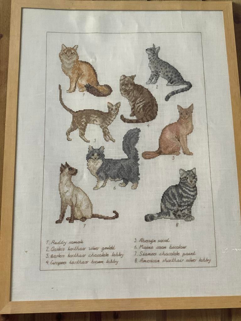 Telpatroon Borduurwerk Katten, Ophalen of Verzenden, Gebruikt, Handborduren, Patroon