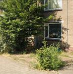 Tuinman gezocht: Onkruidvrije voortuin, Ophalen of Verzenden, Laurier