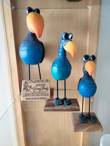 Beelden African Gooney Birds  beschikbaar voor biedingen