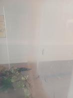 Wandelende takken inclusief verblijf, Dieren en Toebehoren, Wandelende tak