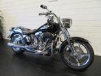 Harley-Davidson FLSTF FAT BOY SPECIAL BIG TWIN (bj 2011), Motoren, Motoren | Harley-Davidson, Bedrijf, Chopper