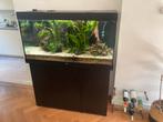 Juwel Rio 350 te koop, Dieren en Toebehoren, Vissen | Aquaria en Toebehoren, Ophalen, Zo goed als nieuw, Gevuld zoetwateraquarium