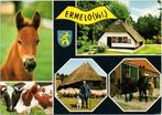Ermelo, Verzamelen, Ansichtkaarten | Nederland, Ophalen of Verzenden, Gelopen, Gelderland