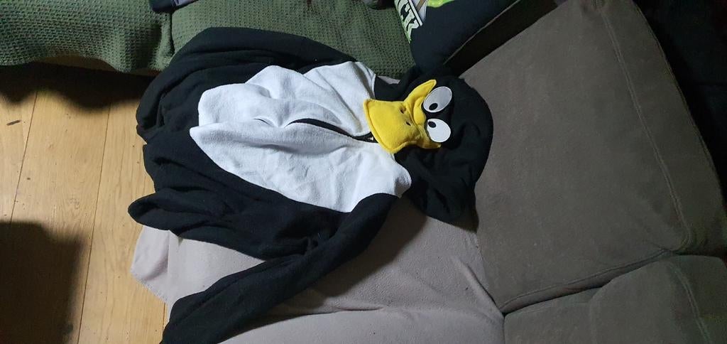 Eenden Hoodi Carnaval Maat M - 1x Gedragen, Maat 38/40 (M), Carnaval, Ophalen of Verzenden, Onbekend